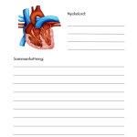 Forska om kroppen - bild 28