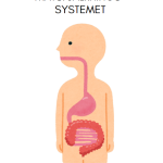 Forska om kroppen - bild 12