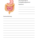 Forska om kroppen - bild 19