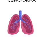 Forska om kroppen - bild 2