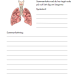 Forska om kroppen - bild 10