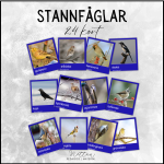 Stannfåglar - bild 2