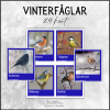 Vinterfåglar