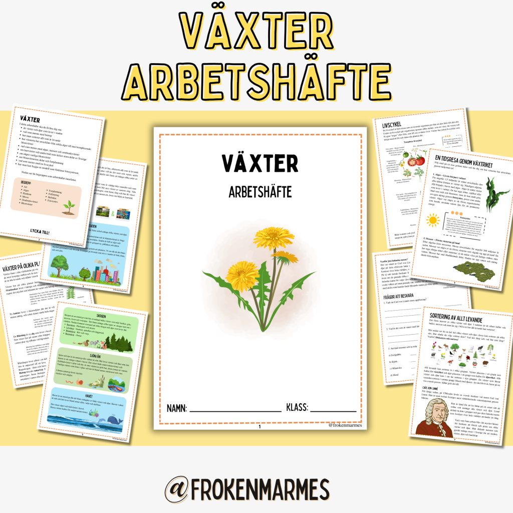 Växter – Arbetshäfte (4-6)
