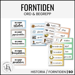 Bildstöd Forntiden – ord & begrepp (alla epoker)