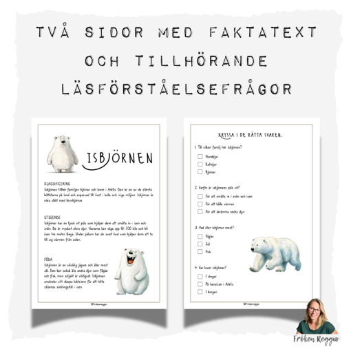Faktatext om Isbjörnen