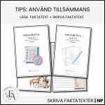 PAKET: Läsa & Skriva faktatext (NP Svenska åk 3) - bild 5