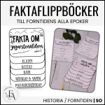 Faktaflippböcker till forntidens alla epoker (istiden, bonde- och jägarstenåldern, bronsåldern och järnåldern) - bild 1