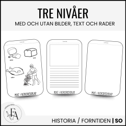 Faktaflippbok: Vikingatiden