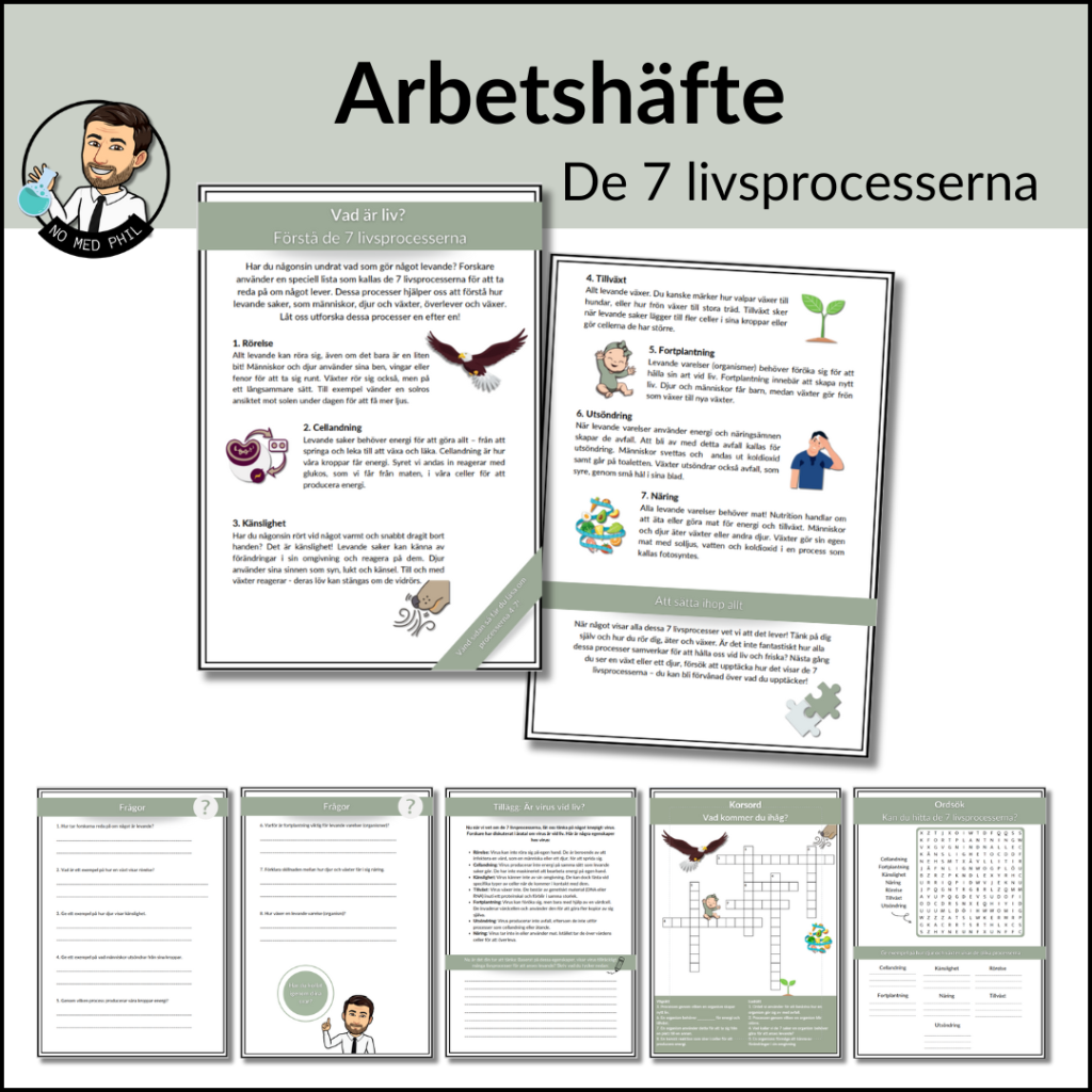 De 7 Livsprocesserna