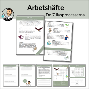 De 7 Livsprocesserna