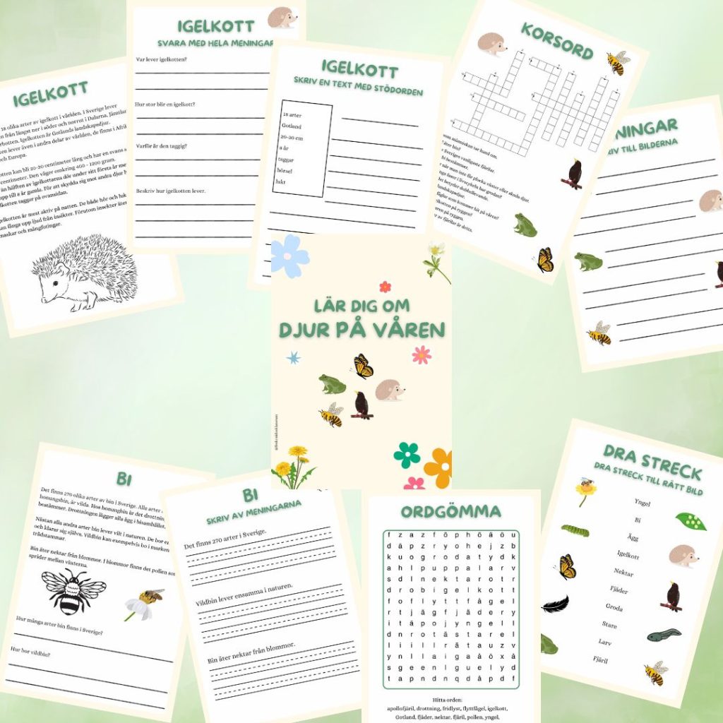 Lär dig om djur på våren