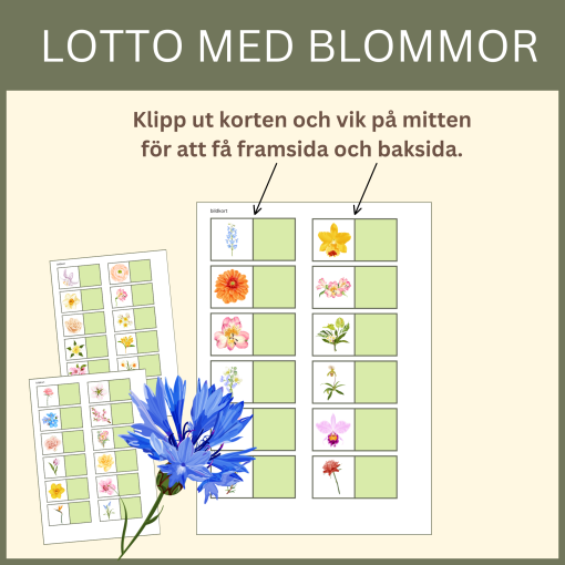 Lotto blommor, 4 spelplaner + 36 bildkort