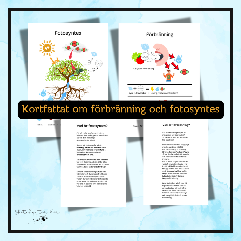 Kortfattat om fotosyntes och förbränning