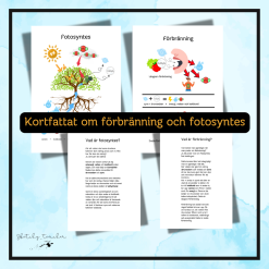 Kortfattat om fotosyntes och förbränning