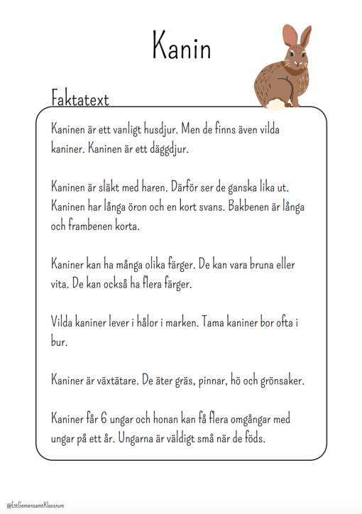 Läsförståelse - olika djur