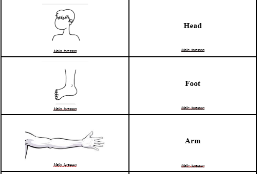 Memory kroppen engelska