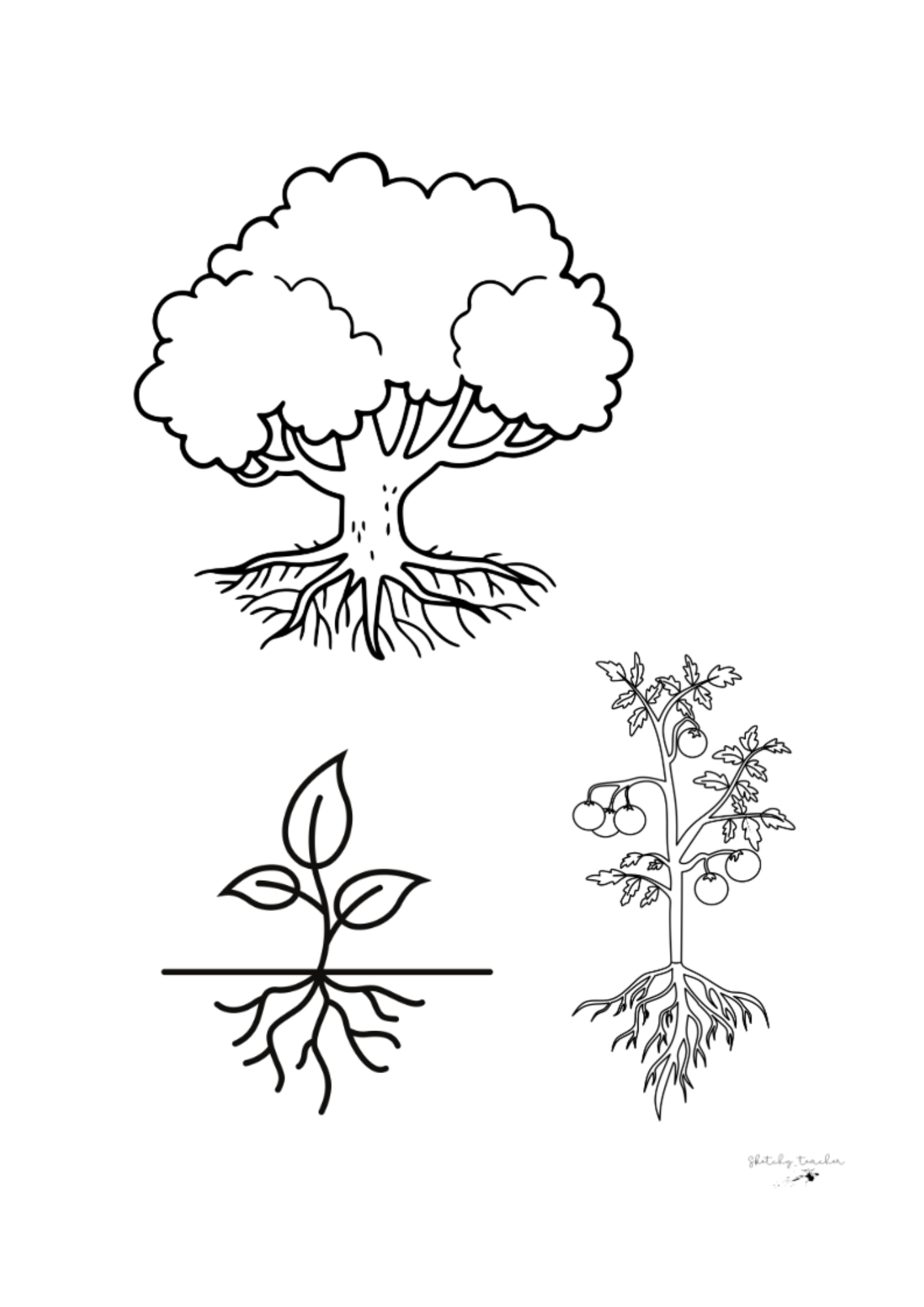 Klipp och klistra fotosyntes