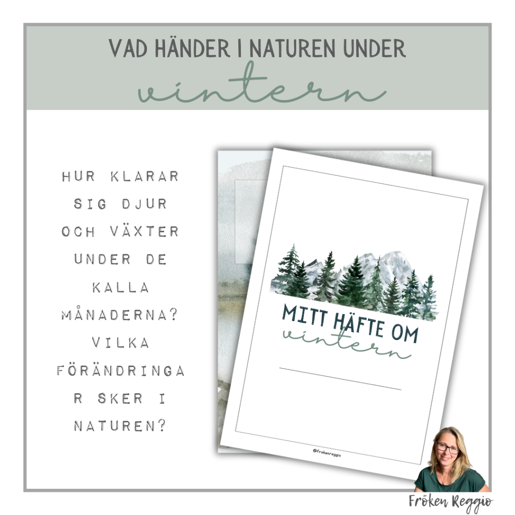 Vad händer i naturen under vintern