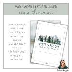 Vad händer i naturen under vintern - bild 1