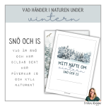 Vad händer i naturen under vintern – snö och is - bild 1
