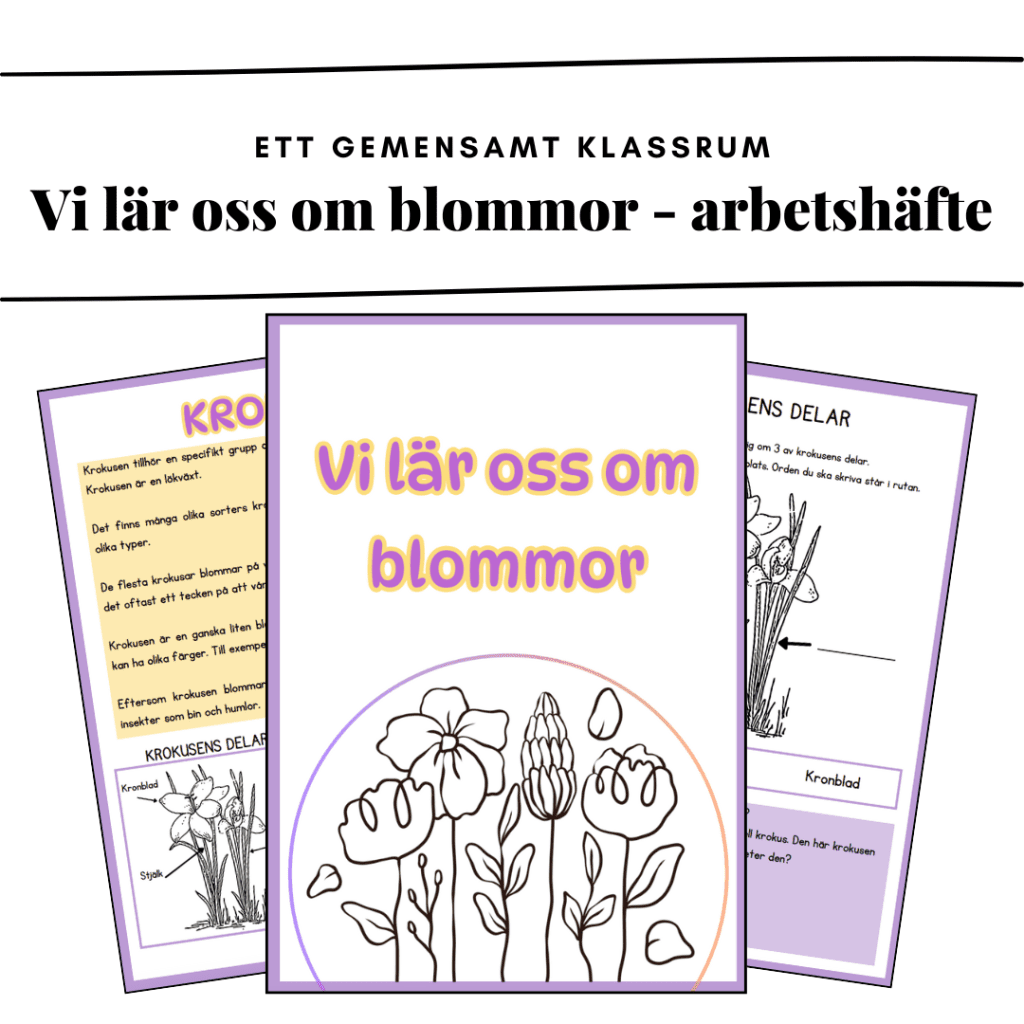 Vi lär oss om blommor – arbetshäfte
