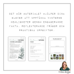 Vad händer i naturen under vintern - bild 2