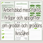 Arbetshäfte om grodan och grodans livscykel - bild 2