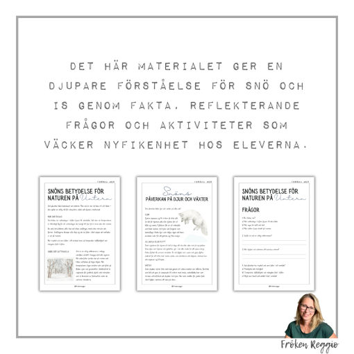 Vad händer i naturen under vintern - snö och is