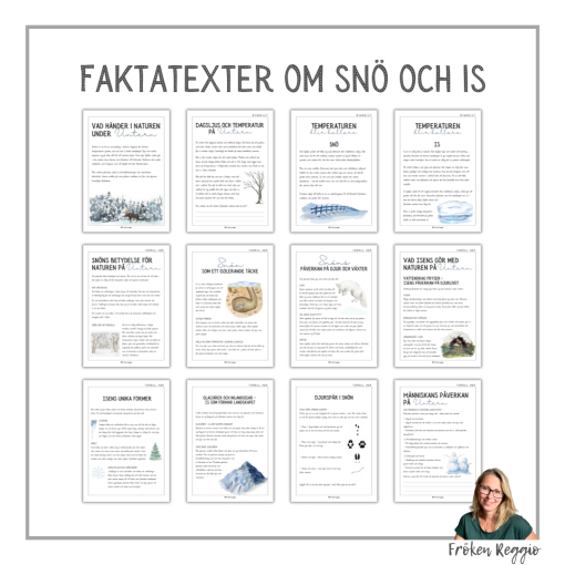Vad händer i naturen under vintern - snö och is
