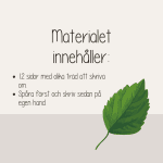 Träd – Skrivträning – 12 skrivblad med fakta om olika träd - bild 3