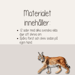 Vilda djur i Sverige – Skrivträning – 12 oliks skrivblad - bild 3