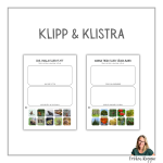 Vad händer i naturen under vintern - bild 5