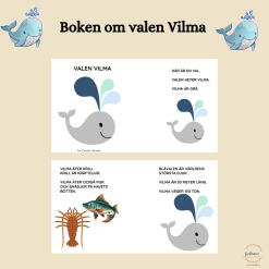 Boken om valen Vilma