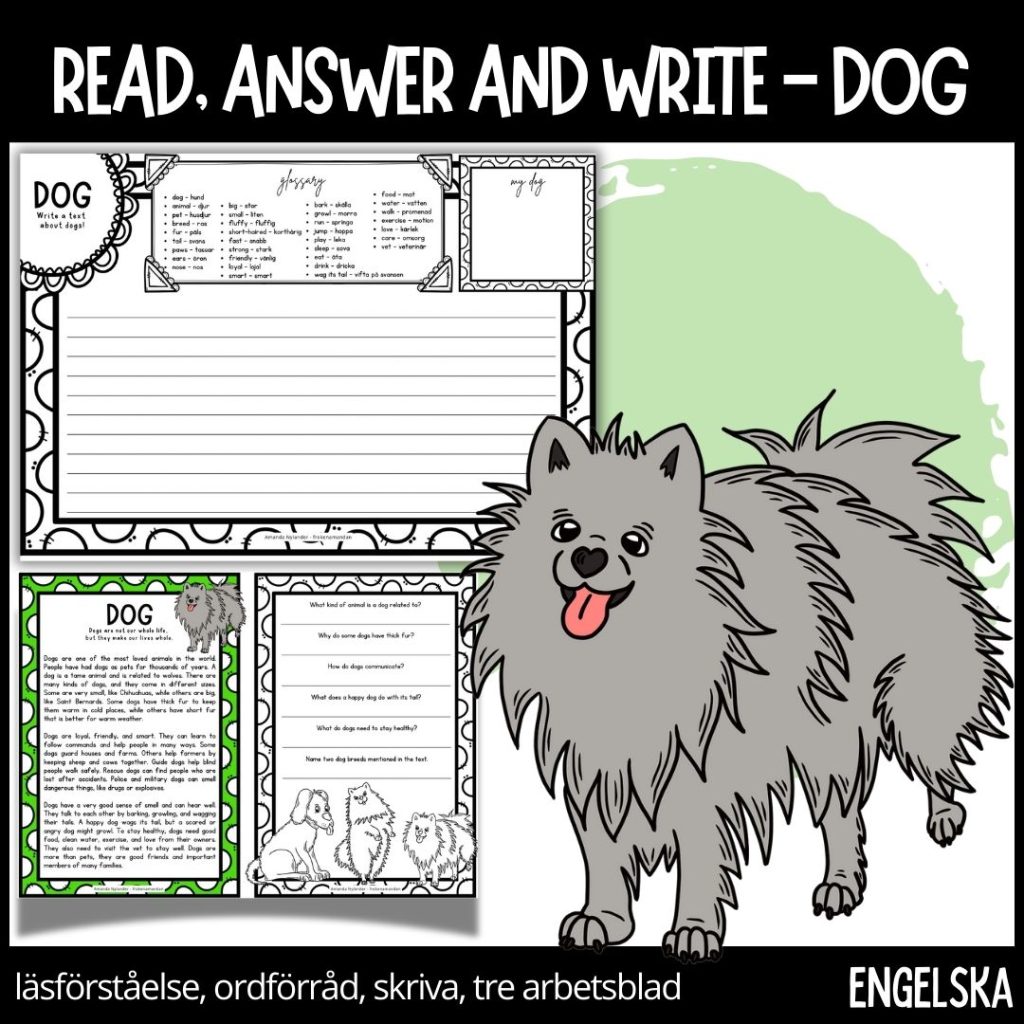 Time to read, answer and write – dog