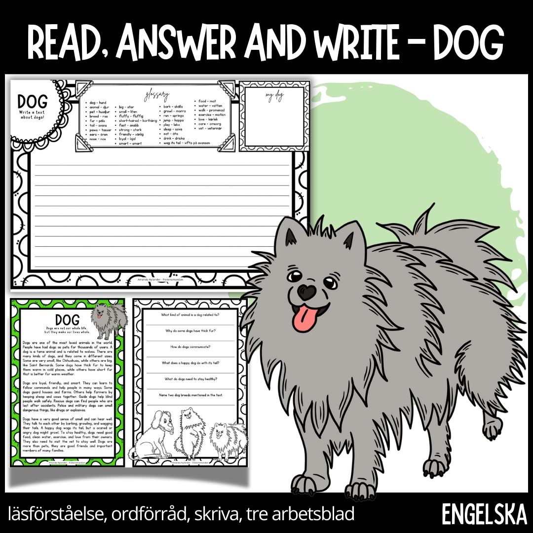 Time to read, answer and write – dog