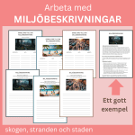 Miljöbeskrivningar, 3 olika miljöer + ett gott exempel - bild 1