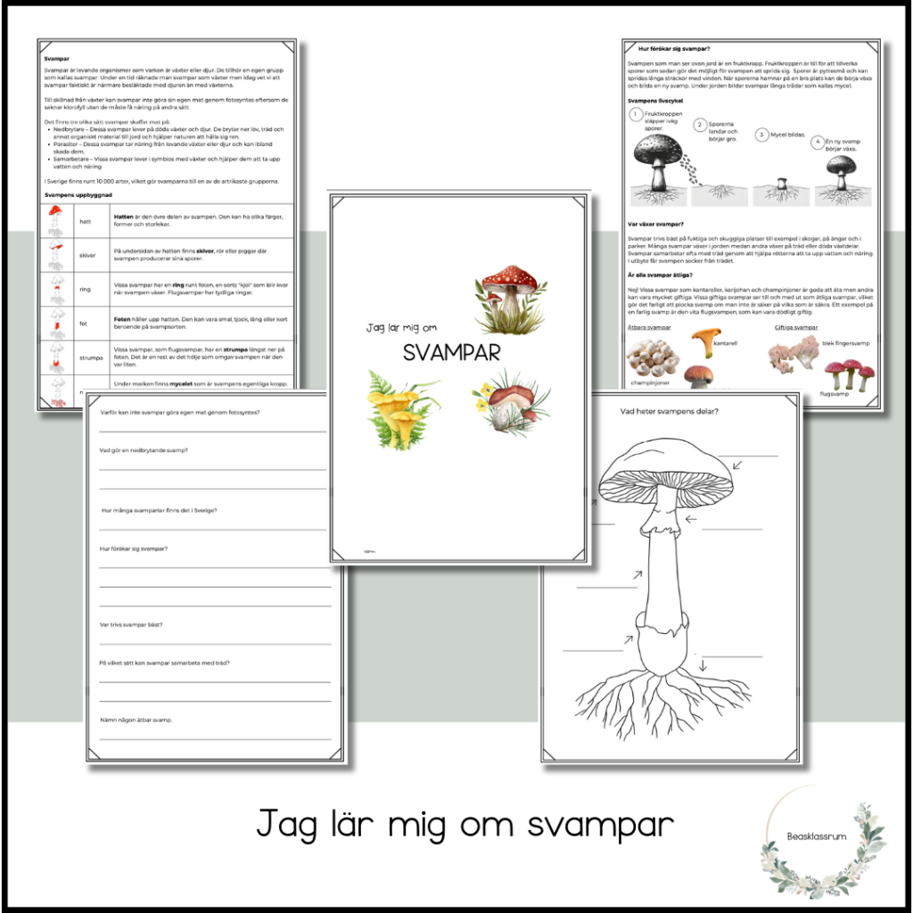 Jag lär mig om svampar