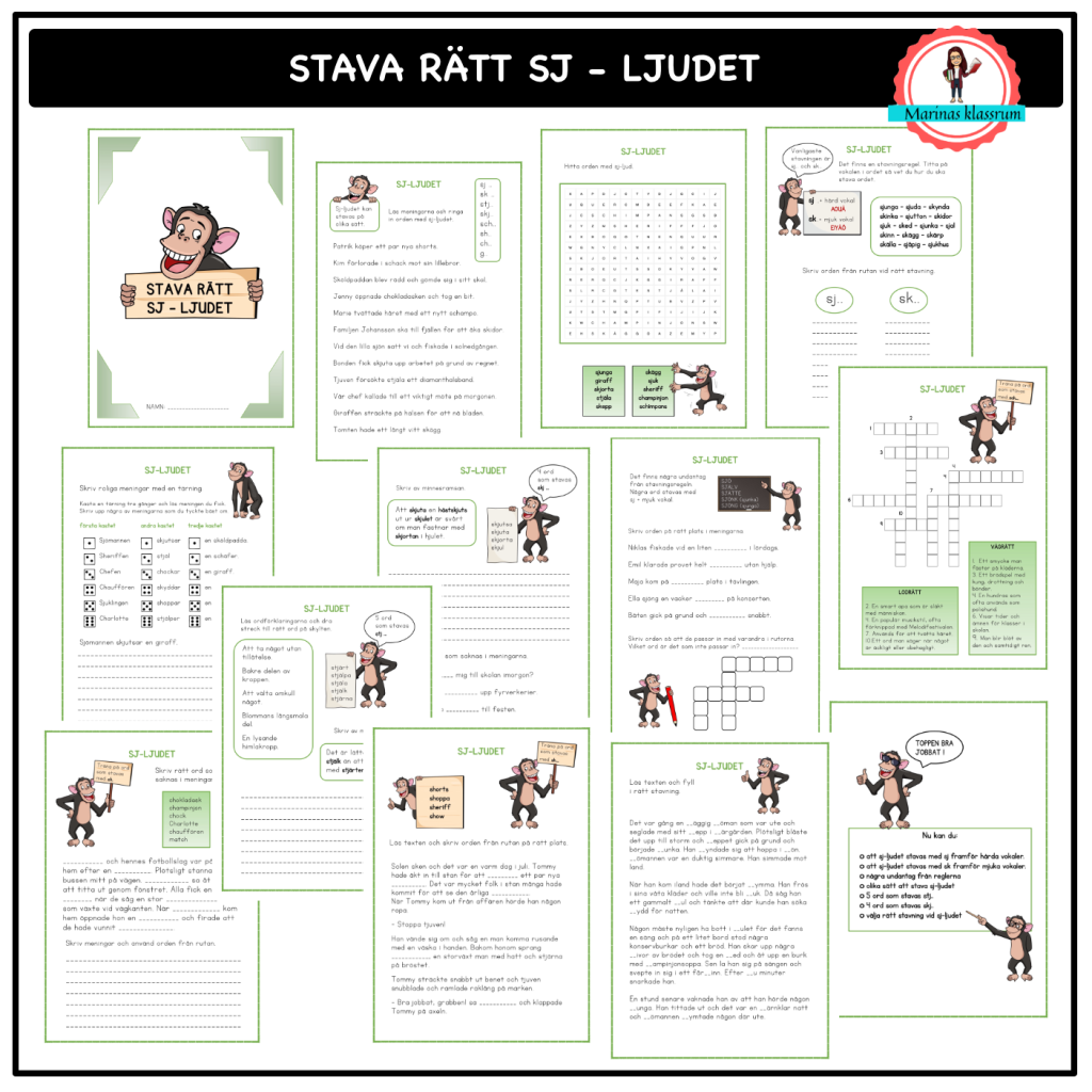 Stava rätt – SJ-ljudet
