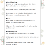 Vi lär oss om våren – ett arbetshäfte - bild 3