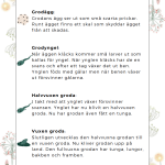 Vi lär oss om våren – ett arbetshäfte - bild 7