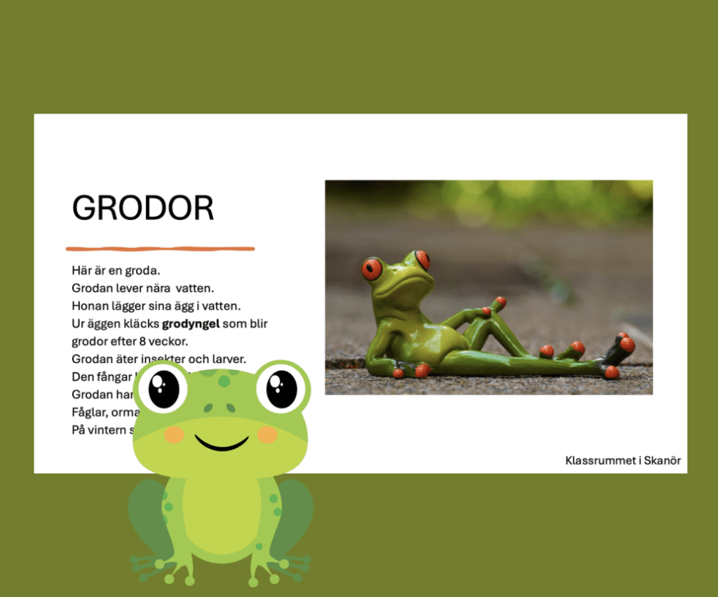 Fakta om grodor