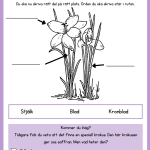 Vi lär oss om blommor – arbetshäfte - bild 3