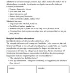 Skolresan – vi tränar läsförståelse och ordklasser. - bild 6