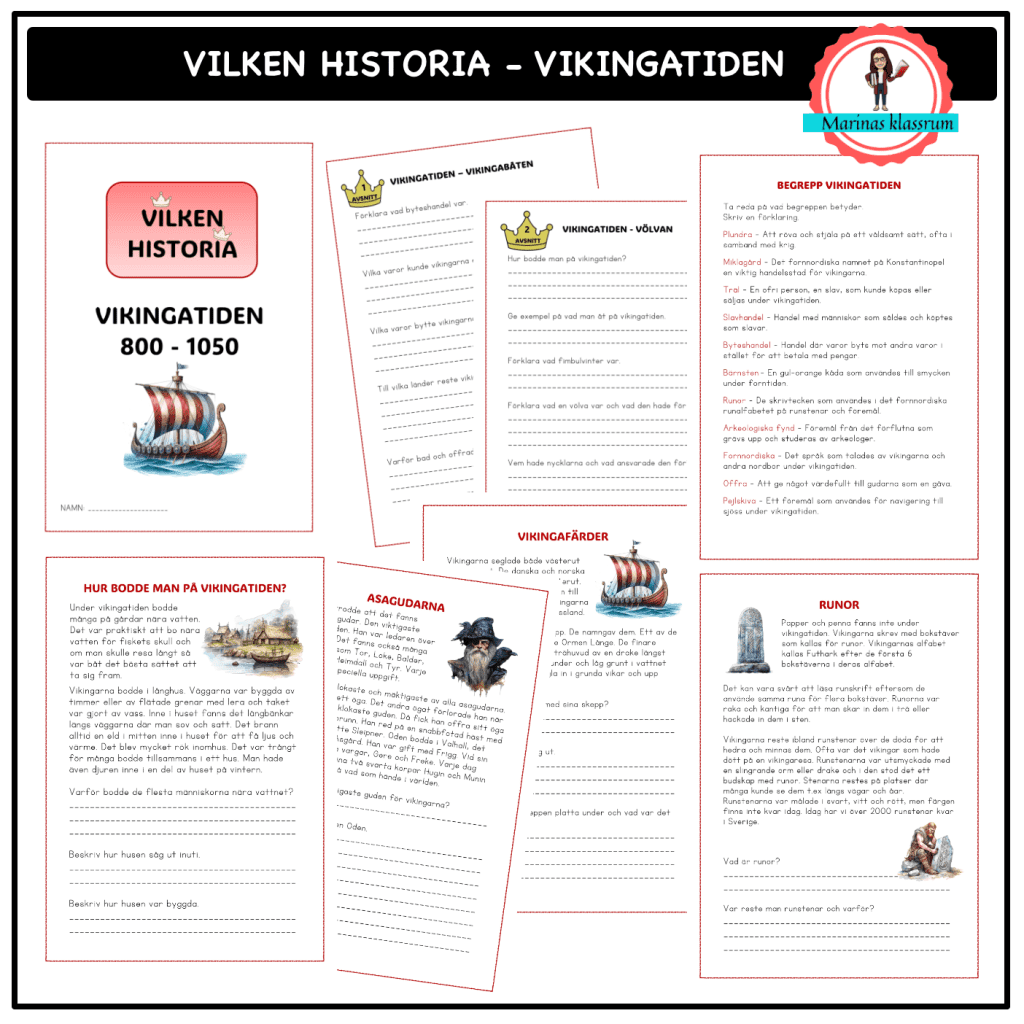 Vilken historia – Vikingatiden