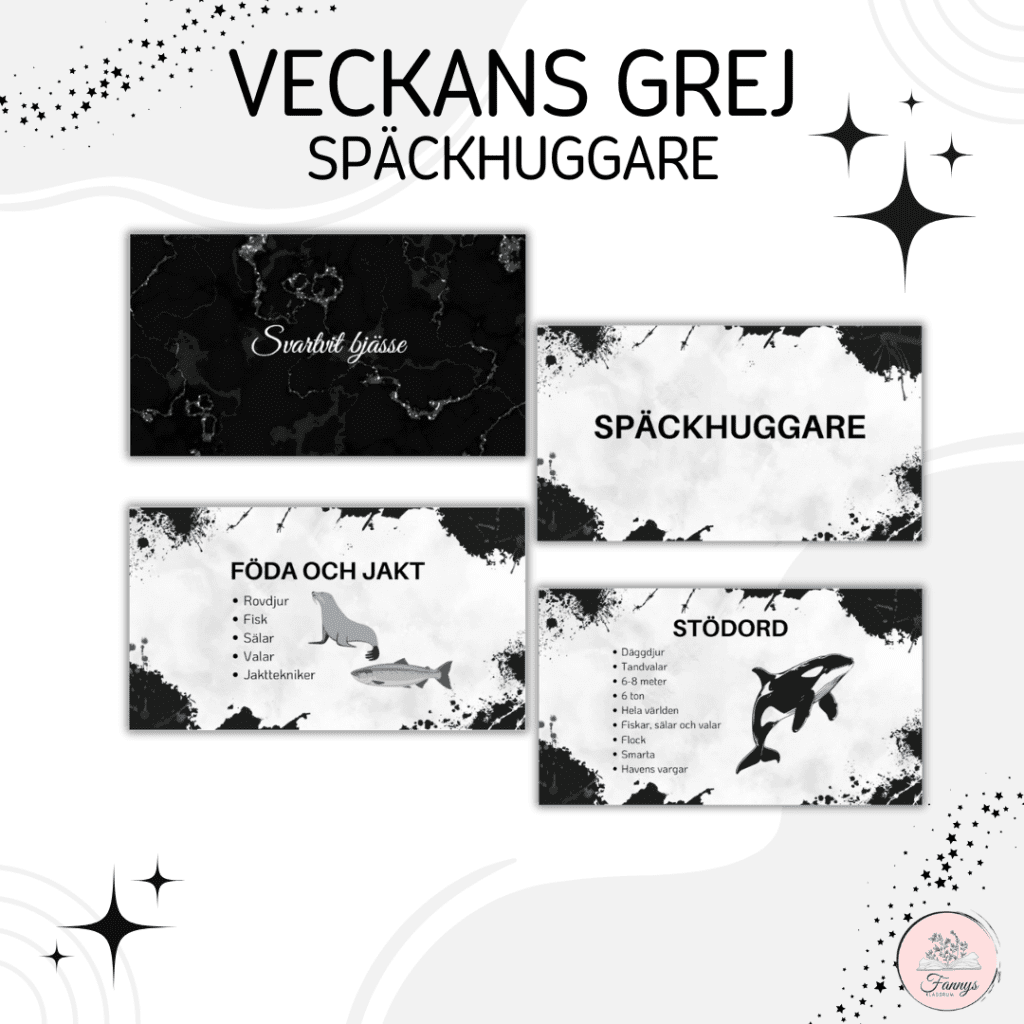 Veckans grej presentation-späckhuggare