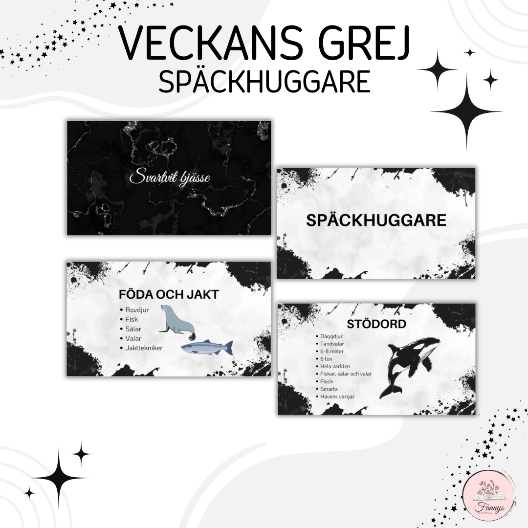 Veckans grej presentation-späckhuggare