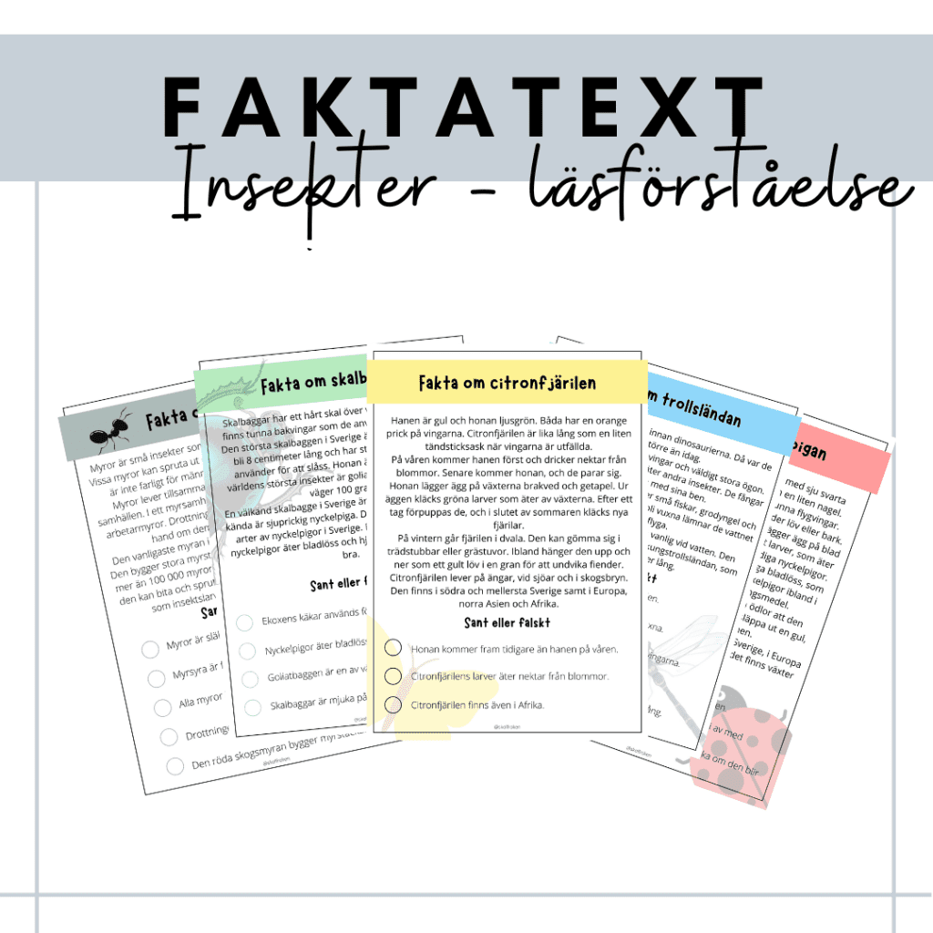 Läsförståelse om insekter