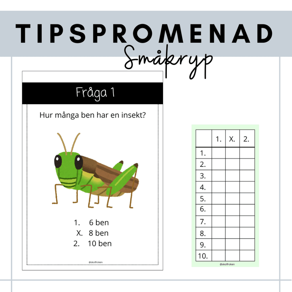 Tipspromenad – småkryp & insekter