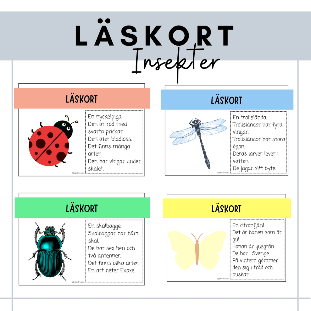 Läskort – insekter